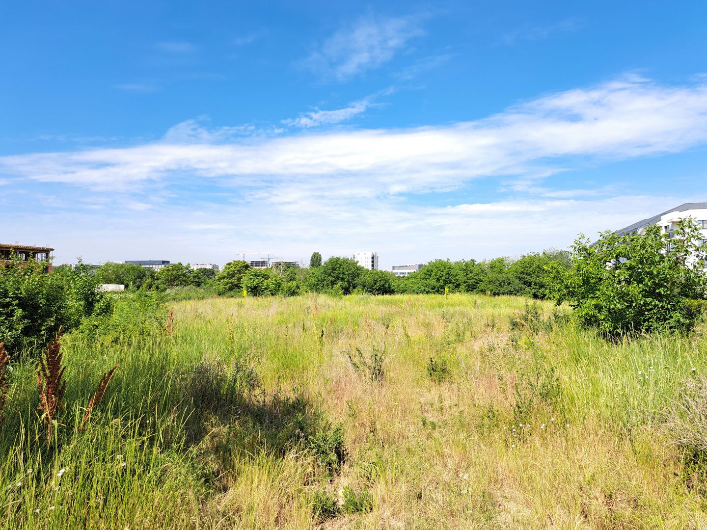 Teren intravilan 1907 mp - Aviatiei - Poză 2