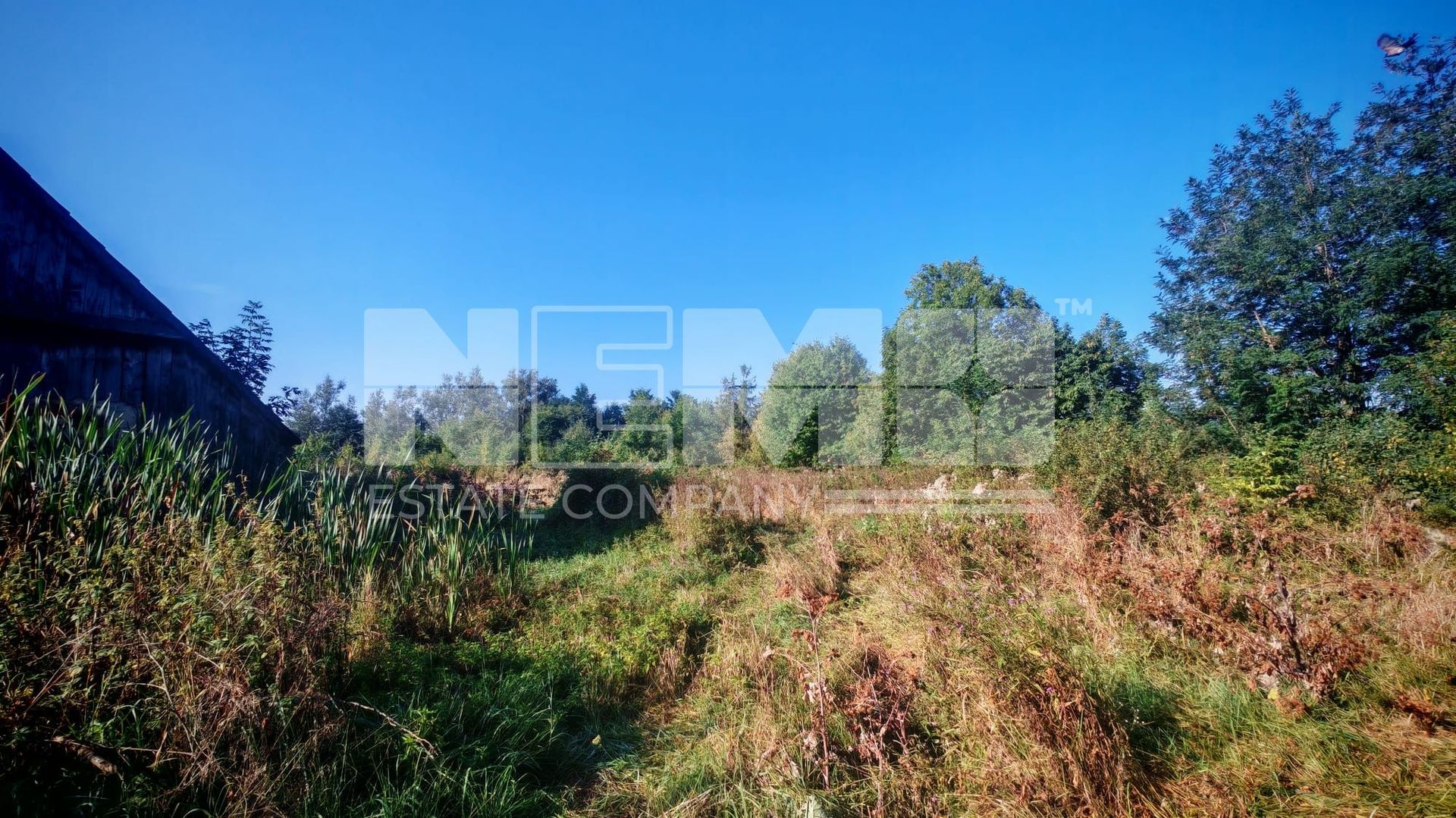 TEREN INTRAVILAN | FRATĂUȚII NOI | 1.1 HA - Poză 7