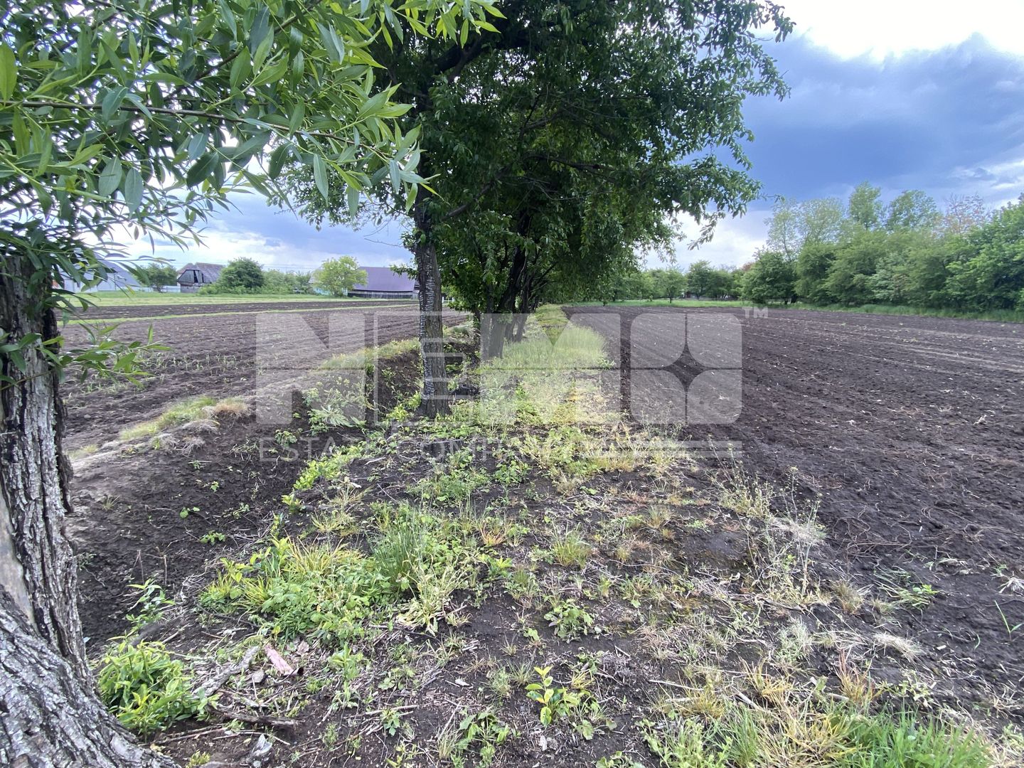 Teren Intravilan | 22 ARI | Horodnic De Jos - Poză 2