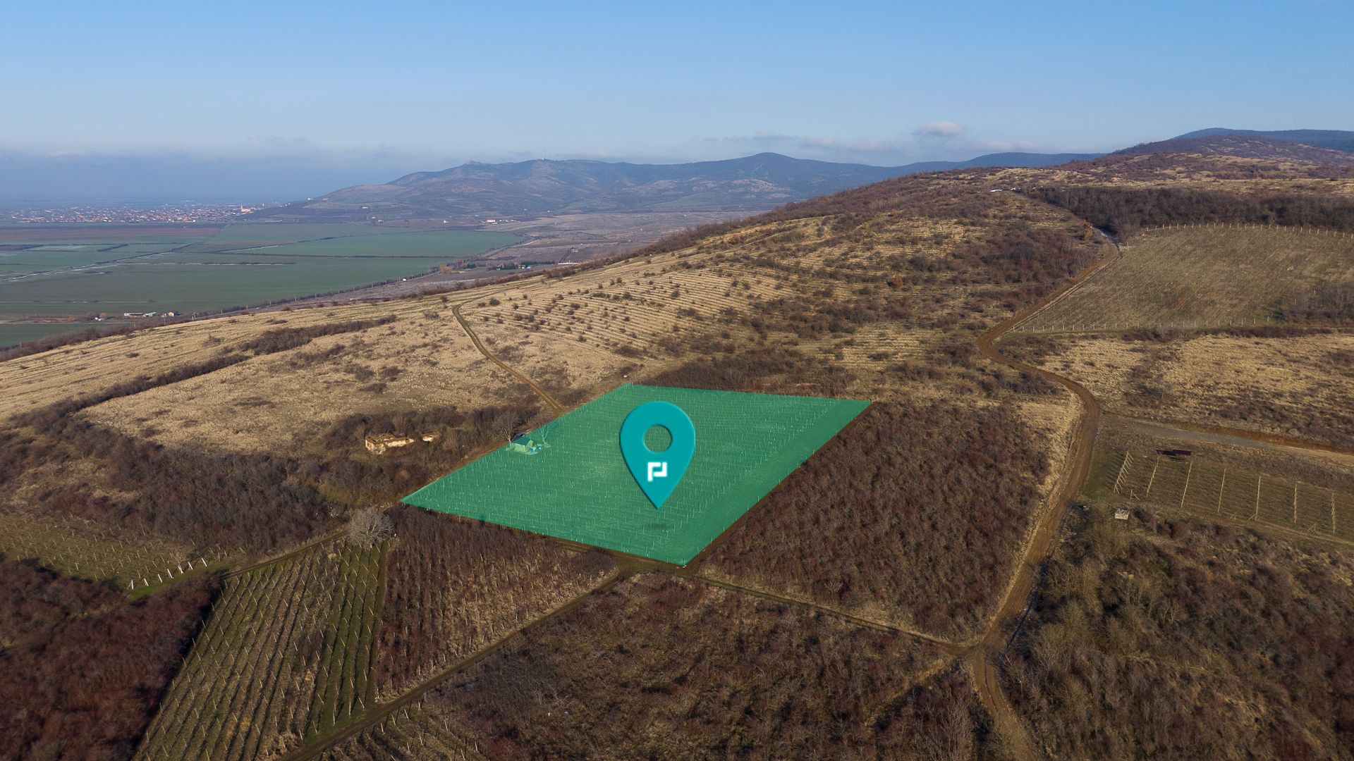 Vita-de-vie Premium  teren de 6800 mp în Covăsinț - Poză 1