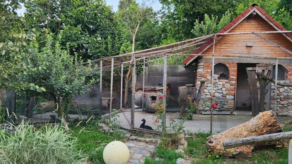 Vila Horezu Romanii de Jos - Poză 20