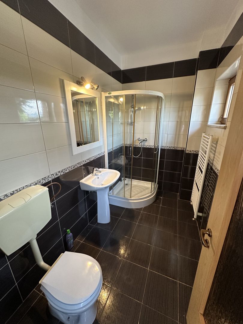 Proprietate cu piscina Dumbravita - Poză 20