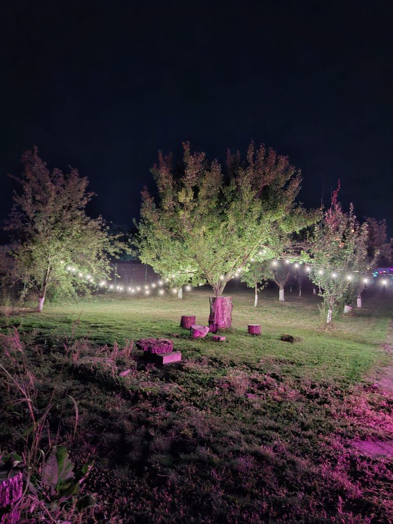 Casa de inchiriat | Snagov | acces direct la lac | ponton propriu - Poză 15