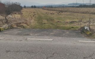 Teren 2.600mp | Extravilan | Mohu - Poză 4