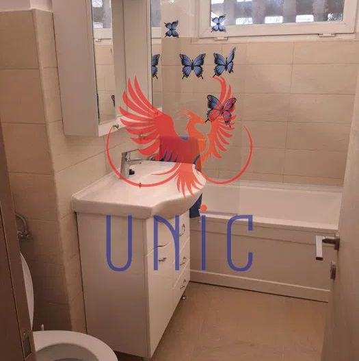 Apartament 2 camere de inchiriat zona Brazda lui Novac - Poză 8