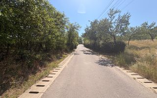 Teren de vanzare intravilan | Moigrad-Porolissum - Poză 5