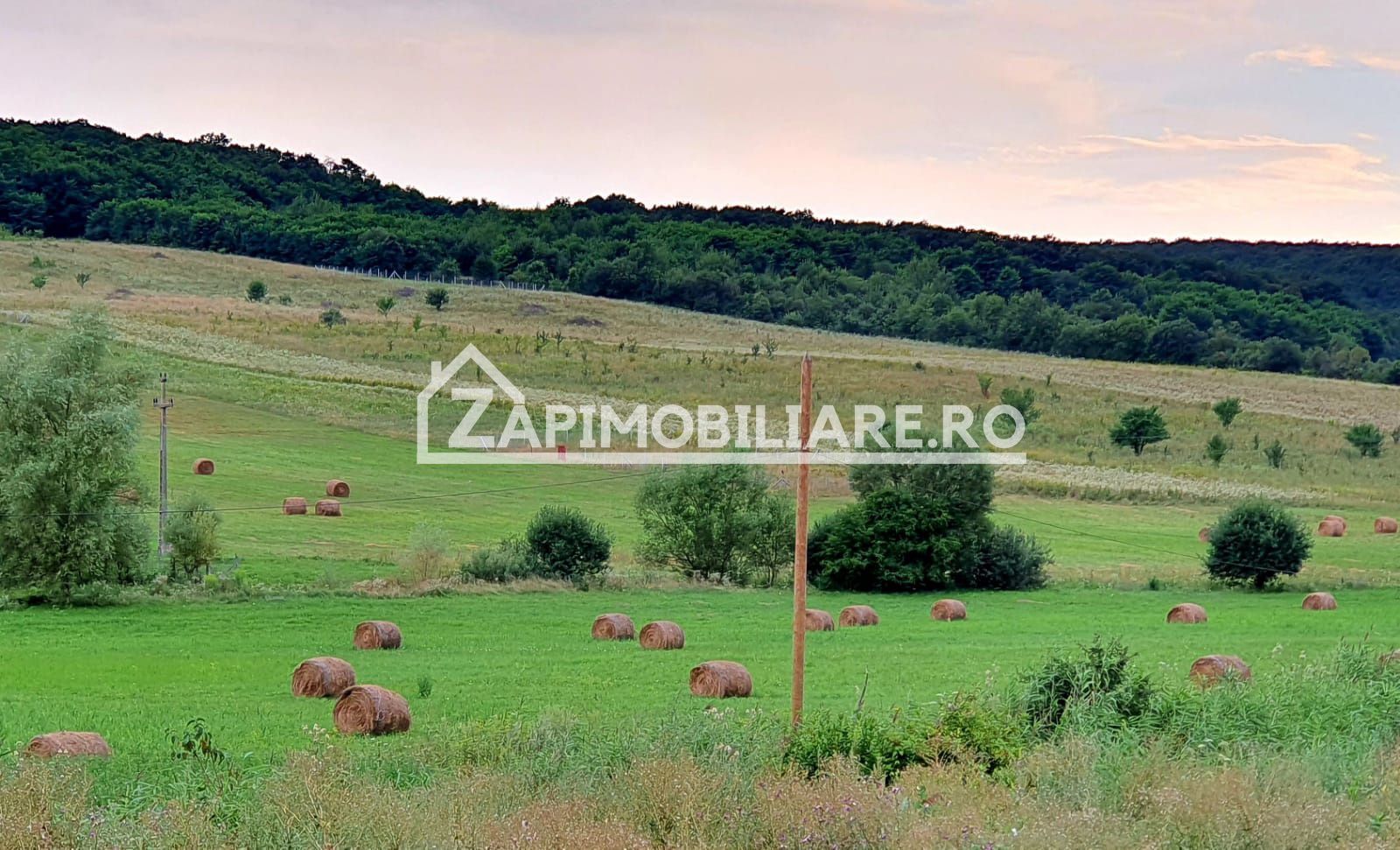 Teren intravilan 50 ari,Livezeni,iesire catre Ivanesti,28 eu/mp - Poză 1