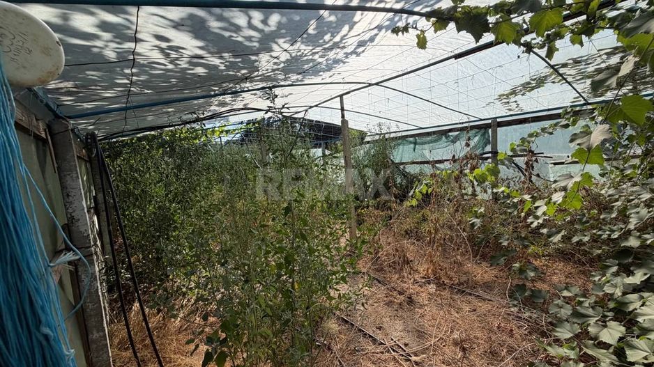 De vânzare casă de locuit în Dubăsarii Vechi - Poză 14