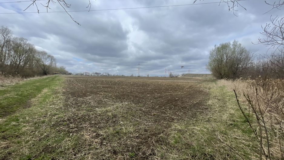 TEREN INTRAVILAN | 50 ARI | ZONA PERIFERICA RADAUTI - Poză 8