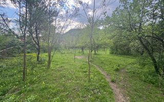 TEREN INTRAVILAN 7018 MP CAMPULUNG - Poză 4