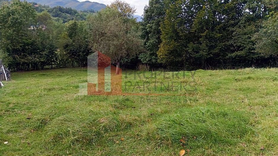 Teren intravilan 1.300 mp | Vedere Piatra Craiului | Bran Poarta - Poză 7