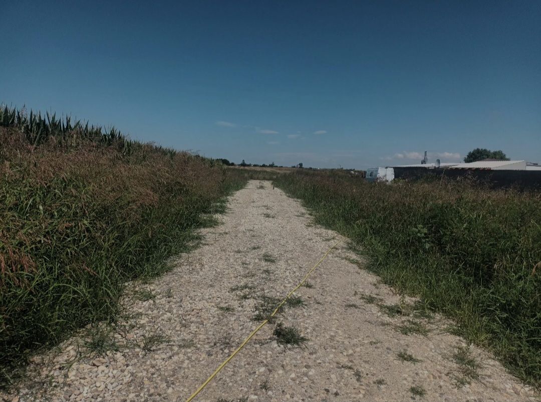 Teren de vanzare, Ordoreanu, Ferma de Struti - Poză 8