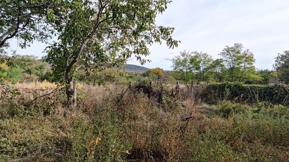 🏡  Casă de Poveste în Șiria, Arad- Locație Rară - Poză 15