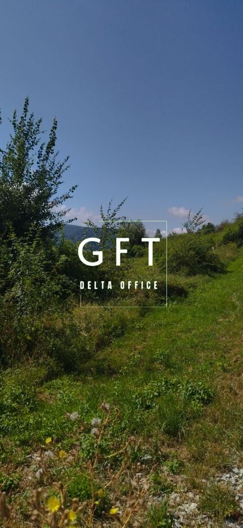 Teren intravilan 3100 mp-parcelabil-utilitati-ideal casa P+2E-Viisoara - Poză 1