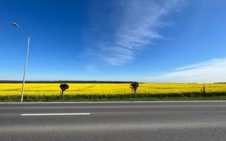 | OPORTUNITATE | DE VANZARE TEREN BRANESTI 41.317 mp DESCHIDERE 85 m - Poză 3