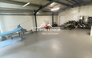 NECTORA IMOB-Hala industriala 250 mp, Sanmartin, Camera Frig,Sanmartin - Poză 7