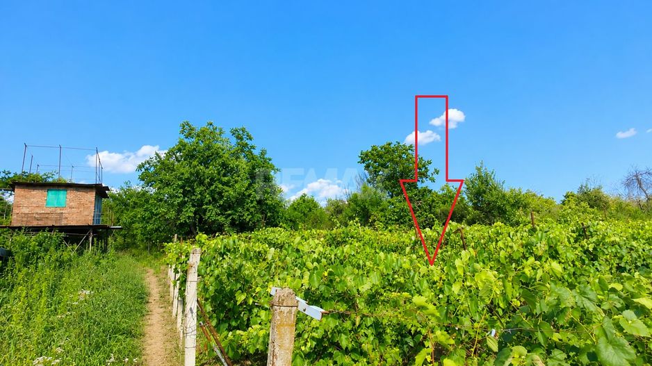 Lot pomiol în Sângera | Î.P. „Roadă Bună” | Zonă Locuită - Poză 7