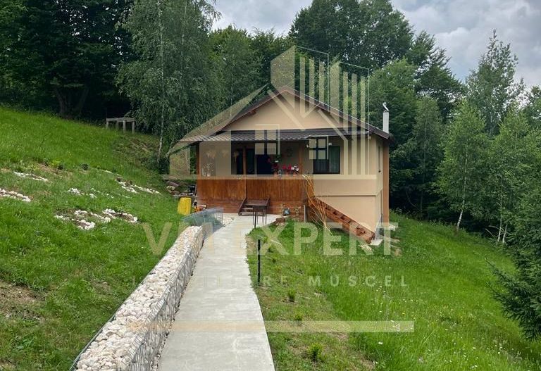 CASA 3 CAMERE, TEREN 3100 MP, ALBESTI DE MUSCEL, ARGES - Poză 1