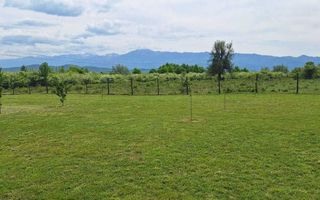 Teren Extravilan | 2.000 MPU | Intabulat | Zonă liniștită - Poză 4