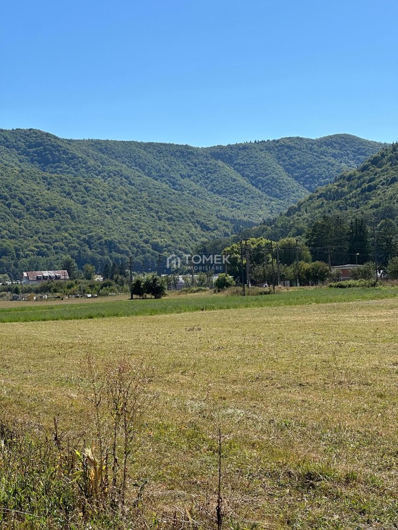 Teren industrial,Cucului-INA-Avicola - Poză 9