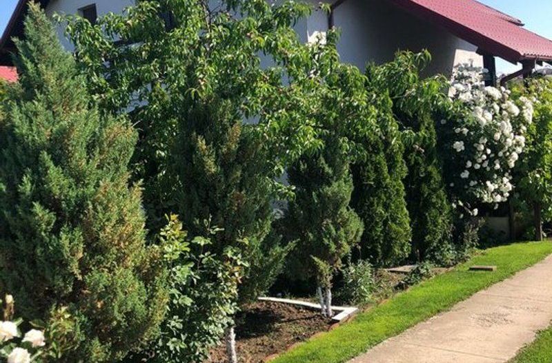 Vila - parter + mansarda -   Sendreni,  jud. Galati - Poză 10