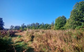 TEREN INTRAVILAN | FRATĂUȚII NOI | 1.1 HA - Poză 10