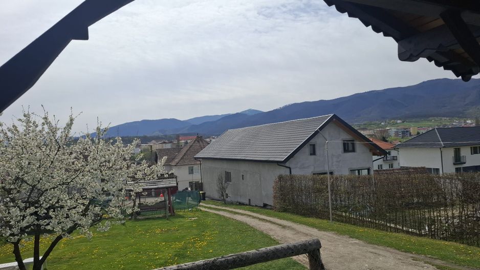 Casa solara si spatioasa, curte 700 mp - Cisnadie - Sibiu - Poză 13