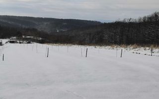 Teren cu o priveliste superba langa padure - Poză 1