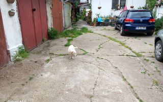 brasadas.com vinde casa 3 cam 135mp zona ULTRACENTRALA. - Poză 2