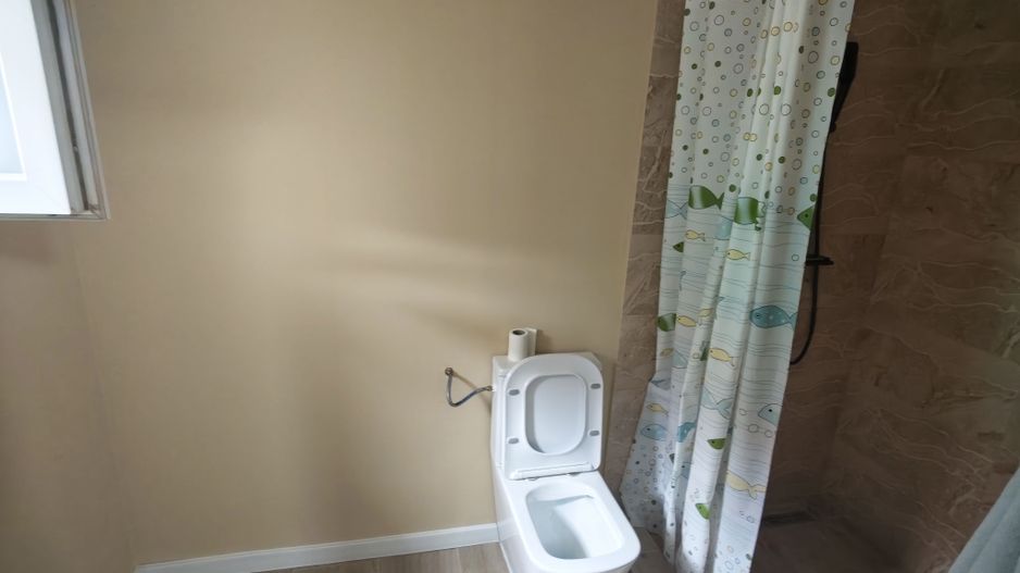 Individuala Parter Becicherecu Mic,4 Camere,2Bai,Panouri Fotovoltaice - Poză 14