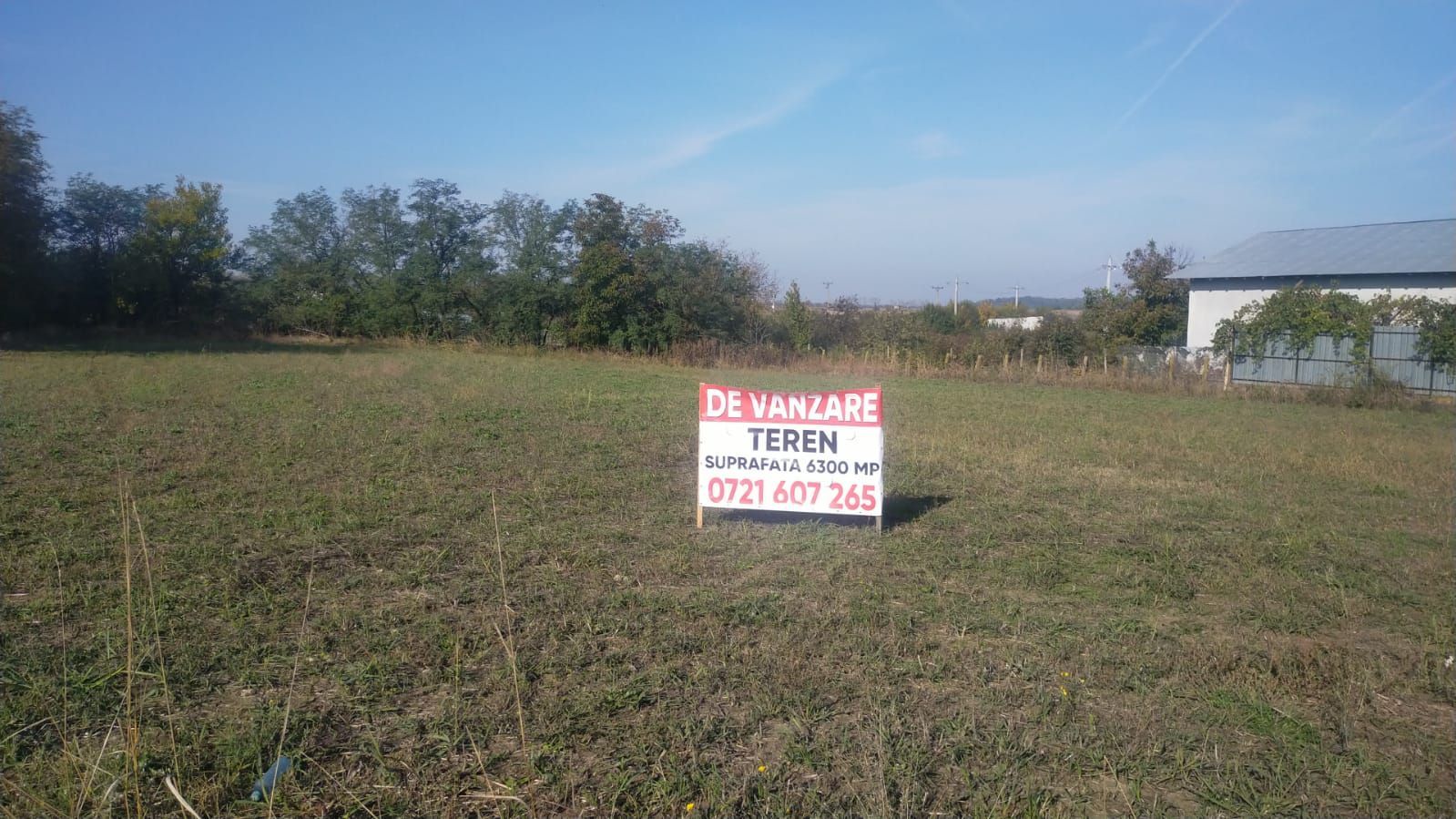 Teren de vânzare în Dascalu, judet Bucuresti Ilfov - Poză 1