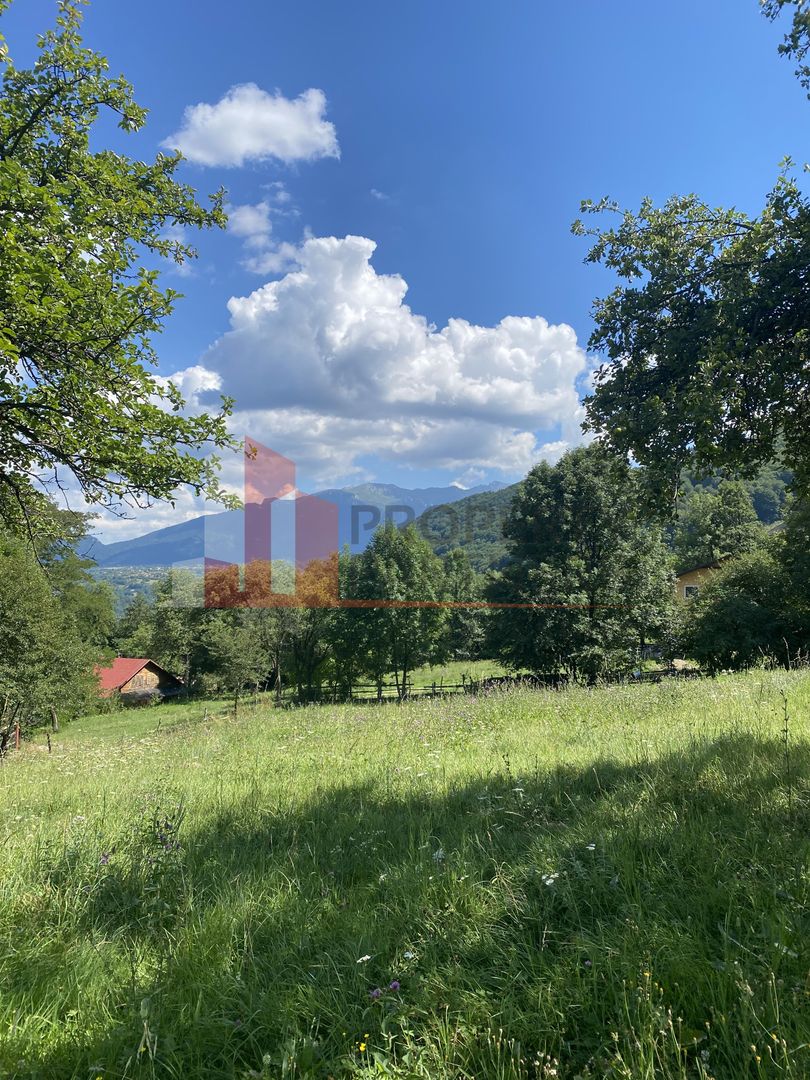 Teren cu livada Bran/ Predelut - Poză 13
