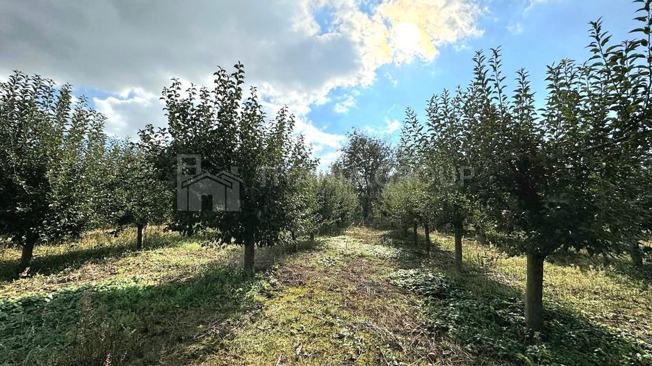 Livada+gradina, teren intravilan 2902mp, Damienesti-Bacau, comision 0 - Poză 3