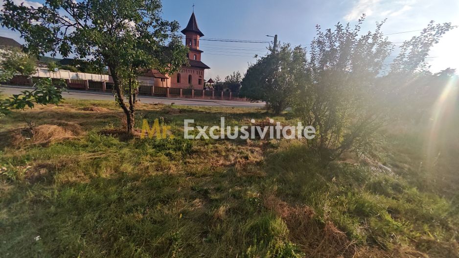Teren intravilan 1.600 mp Mioveni – Zona Pruni - Poză 5