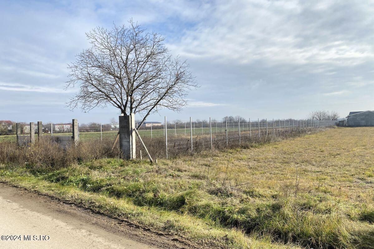 Afumati - Str. Iasomiei, 2409 MP, stradal, intravilan, deschidere 12 m - Poză 5