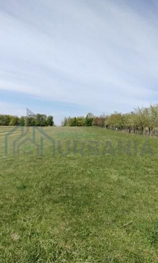 Teren extravilan 7.200 mp, Bordea - Grajduri, oportunitate investiție - Poză 14
