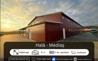 Hală de inchiriat, Medias - Poză 1
