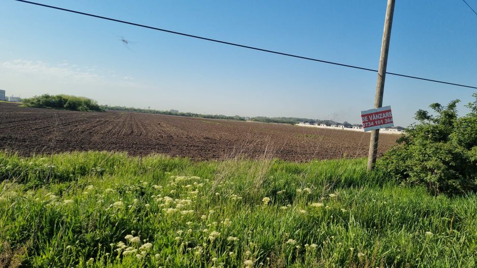 Teren 10.000 mp Clinceni – Deschidere la drum principal | Zonă mixtă - Poză 4