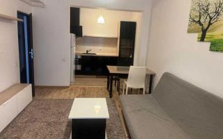 Apartament elegant, doua camere, Calea Mosilor - Poză 3