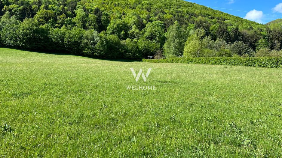 Teren Intravilan in Tocile-priveliste deosebita - Sadu - Sibiu - Poză 7