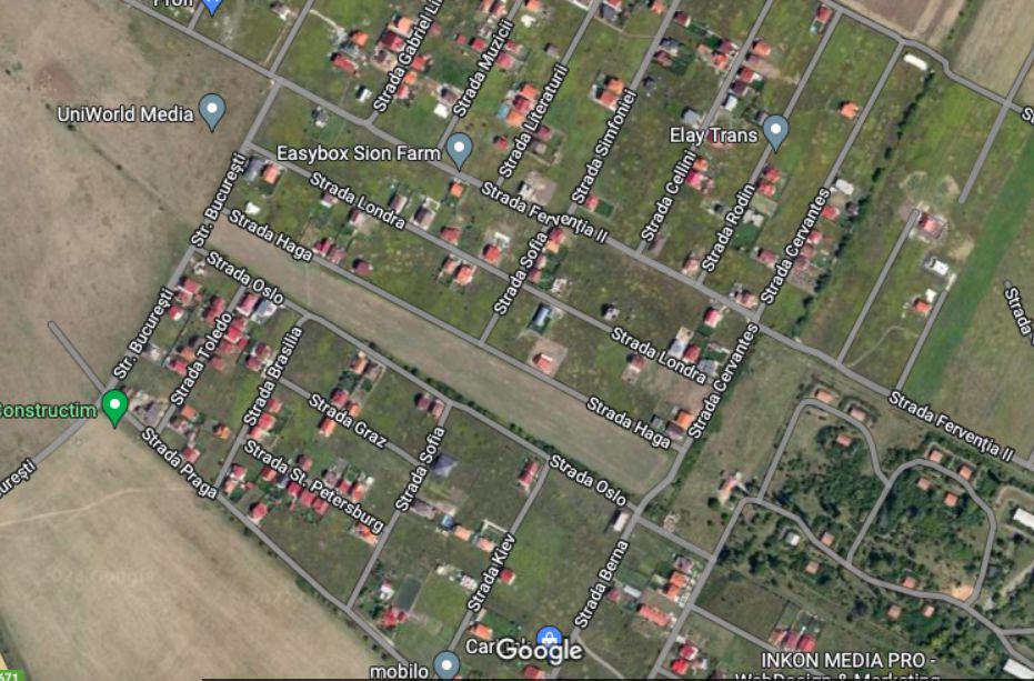 Teren Dumbravita str Bucuresti-581 mp - Poză 1