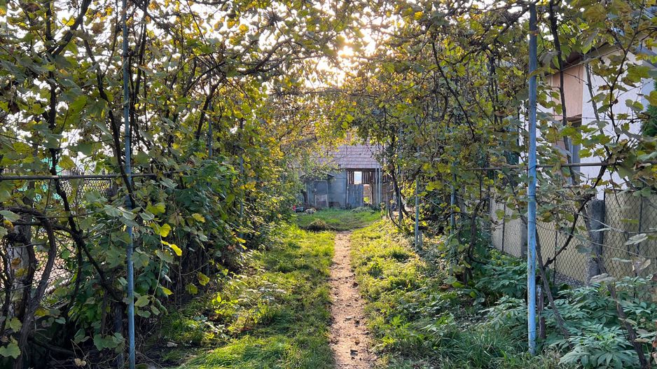 0 COMISION! Casa cu teren de vanzare in Apahida, zona centrala - Poză 6