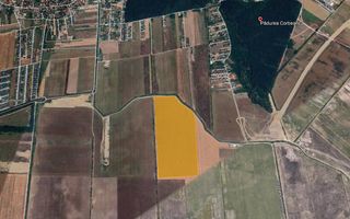 Teren 26 ha – Tamaș, Corbeanca - Poză 2