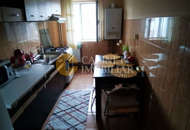 Apartament 2 Camere Nicolina Prima Statie 55 MP - Poză 3