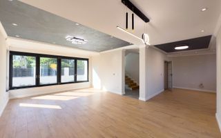 Proiect modern Dumbravita - Poză 1