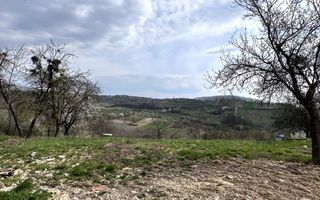 Casa cu livada | teren 2800 mp | Stracos | Bihor - Poză 10