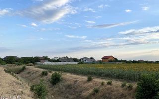 Tamasi, langa padure, 12.824 mp, deschidere 45 ml, teren cu potential - Poză 2