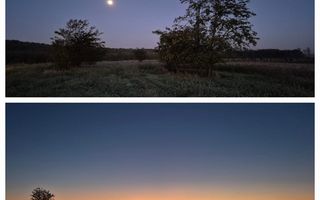 De vanzare - TEREN construcții 700 mp - lizieră - Siliștea Snagovului - Poză 1