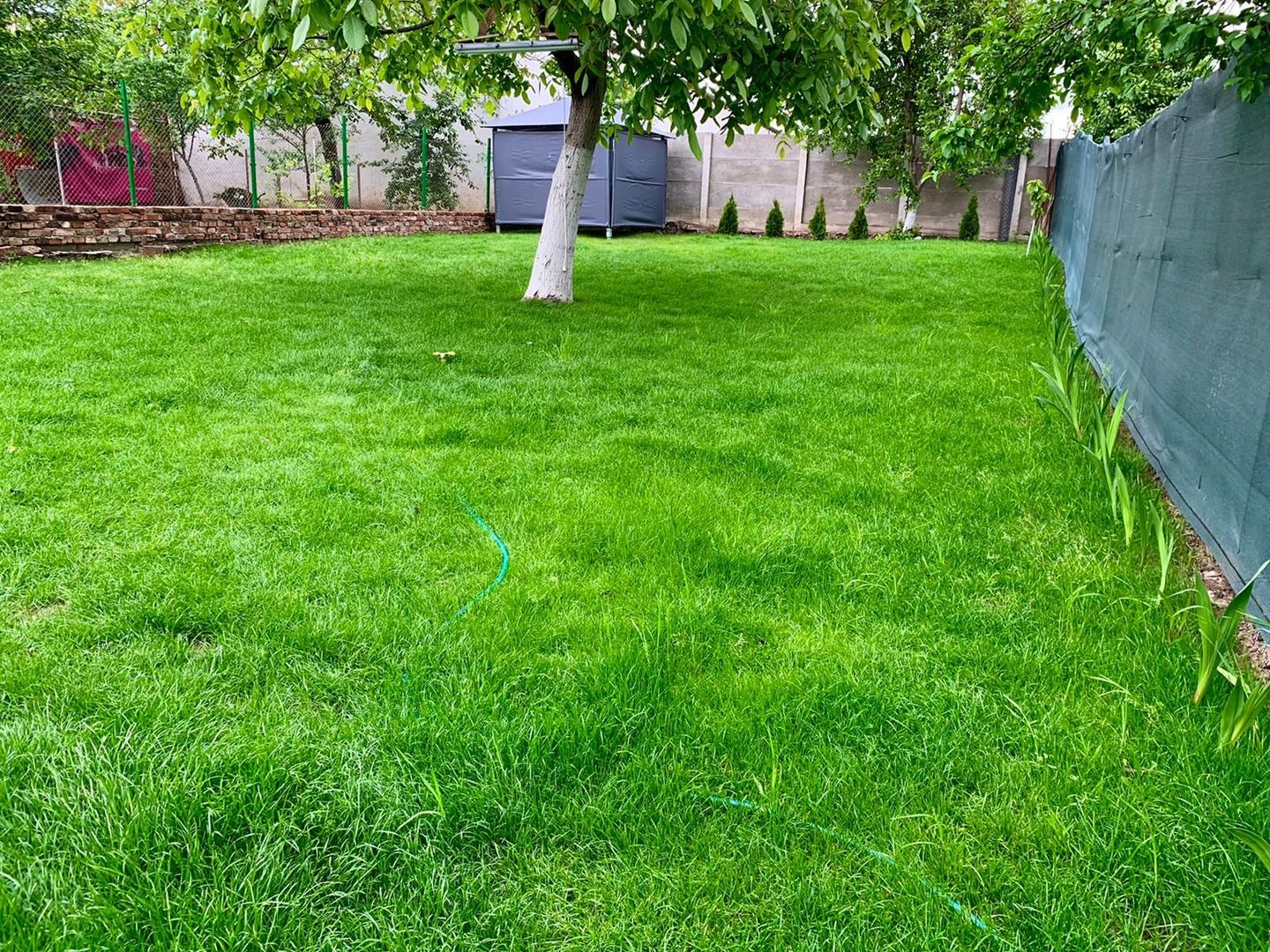 COMISION 0% - Casă P+M și teren de 270 mp în Bălcescu - Poză 8