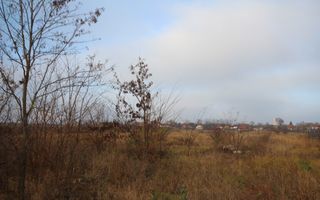 Teren 39.500 mp  Freidorf - Poză 3